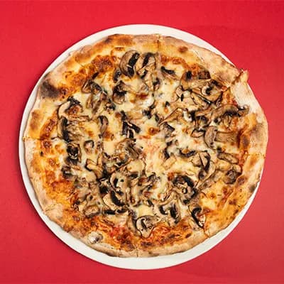 Funghi